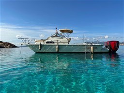 Boston Whaler 25 Revenge wa.jpg