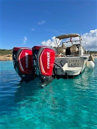 Boston Whaler 25 Revenge wa
