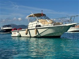 Boston Whaler 25 Revenge wa.jpg