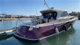 Dolphin 51 aft profile
