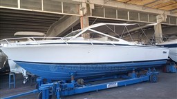 Bertram 28 Moppie