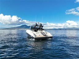 TEMPESTA  bwd details