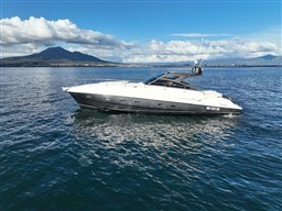 TEMPESTA  profile details