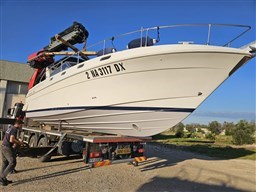 PHOTO-2025-05-20-17-05-25