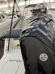 IMG_5047.JPEG