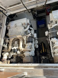 IMG_6406.JPEG
