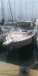 PHOTO-2024-04-03-15-40-37 (22)