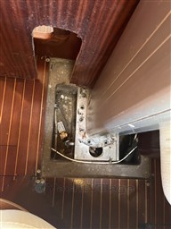 IMG_4336.JPEG
