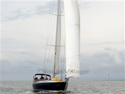 Regata dei Delfini _modif.jpg