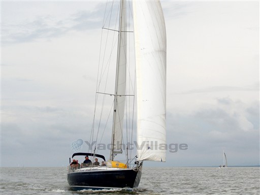 Regata dei Delfini _modif.jpg