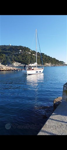jARIMA MARE
