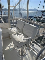 Immagine WhatsApp 2023-10-11 ore 12.07.08_89636e4c.jpgf.jpg