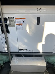 IMG_7391.jpeg