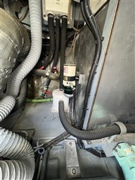 IMG_7398.jpeg
