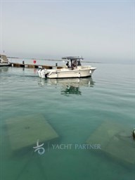 PHOTO-2024-09-13-18-20-09 Piccola.jpeg