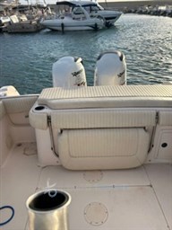 PHOTO-2024-09-13-18-21-01 Piccola.jpeg