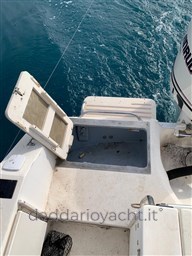 SEARAY LAGUNA 17 (11)