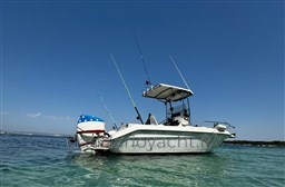 SEARAY LAGUNA 17 (15)