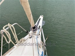 382 gl pietrabianca  DELFINIERA CON CIRCUITI GENNAKER E CODE 0
