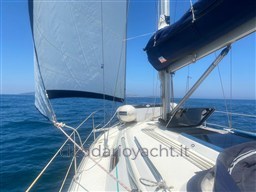 SAS VEKTOR  Genoa dx