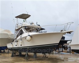 LUHRS 32