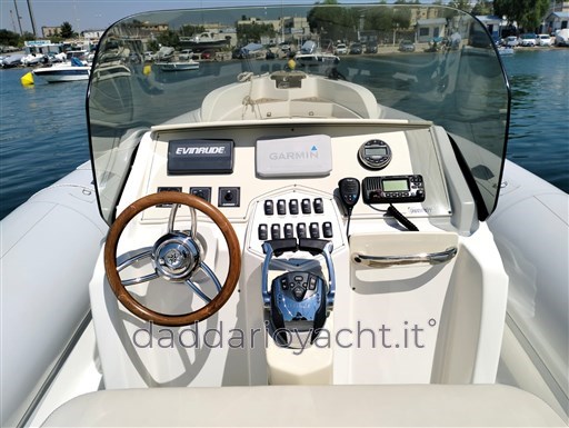 Merlin 298 (8)