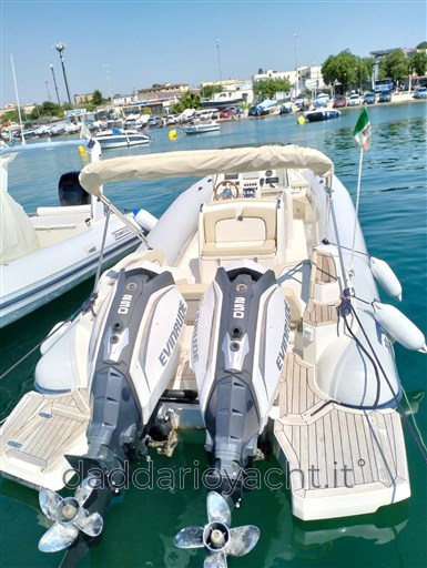 Merlin 298 (5)