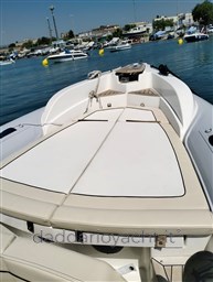 Merlin 298 (16)