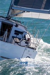 immagine da catalogo