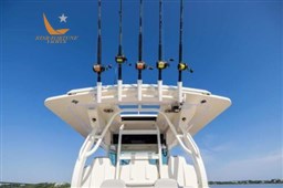 400lxf-237A9901-500x333