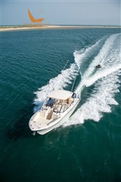 alb_0691