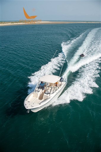 alb_0691