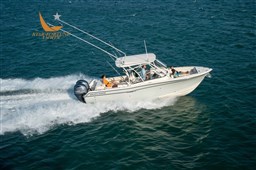 alb_0163
