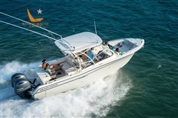 alb_0035