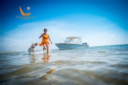 alb_9088