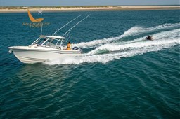 alb_0684