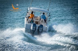 alb_8682