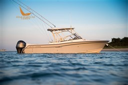 alb_9806