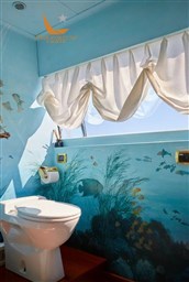 Immagine 2022-11-04 180356