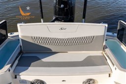 281XSig-275A3422-500x333