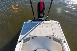 281XSig-275A3448-500x333