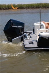 240dorado-detail-2-333x500