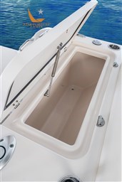 freedom-235-grady-white-23-foot-dual-console-aft-fish-box