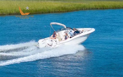 Scout Boats 220-dorado
