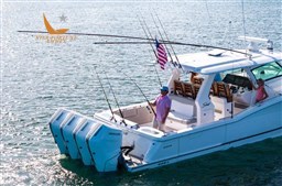 Scout 435 16