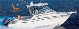 Grady White 305
