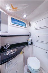 my24-canyon-386-head