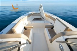 Scout-Boats-195sd-Details-1-500x333 1