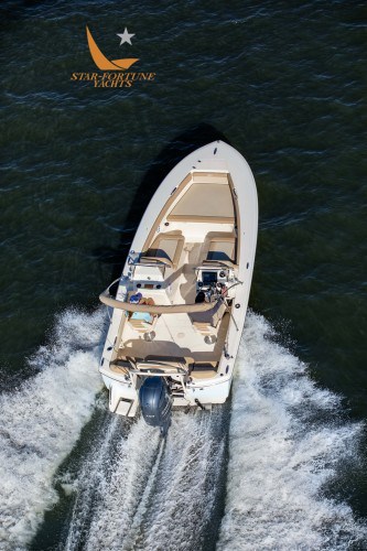 Scout-Boats-195sd-Running-15-333x500 10