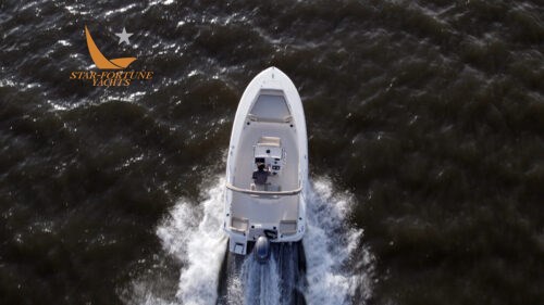 195sportfish-dji_0035_00_03_14_00-500x281 14